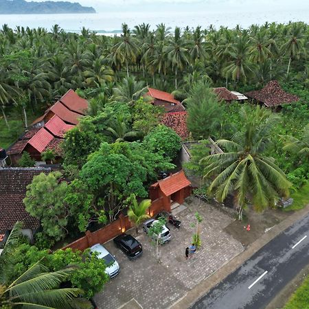 Java Turtle Lodge Meru Betiri Banyuwangi  Zewnętrze zdjęcie