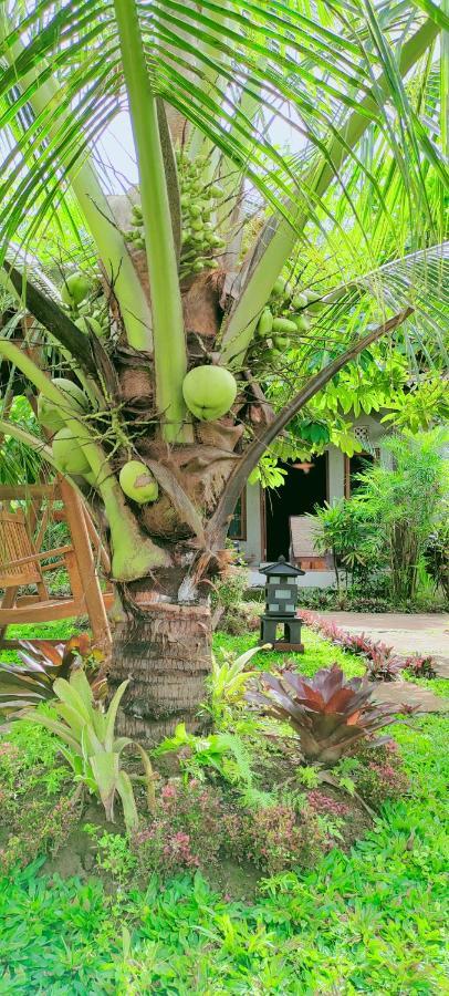 Java Turtle Lodge Meru Betiri Banyuwangi  Zewnętrze zdjęcie