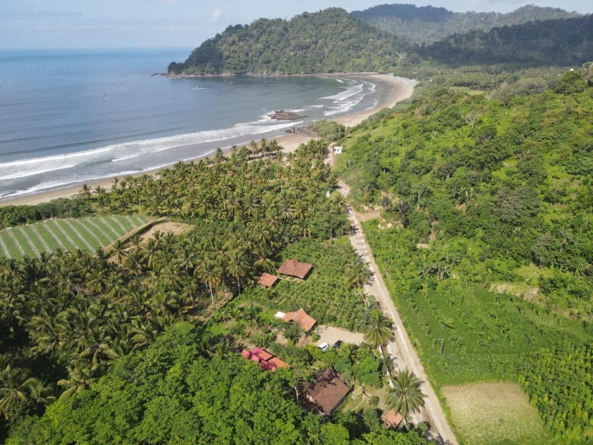 Java Turtle Lodge Meru Betiri Banyuwangi  Zewnętrze zdjęcie