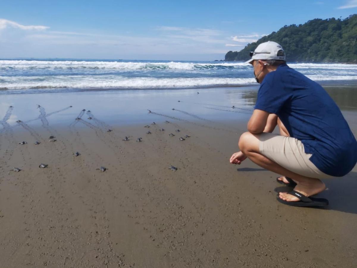 Java Turtle Lodge Meru Betiri Banyuwangi  Zewnętrze zdjęcie