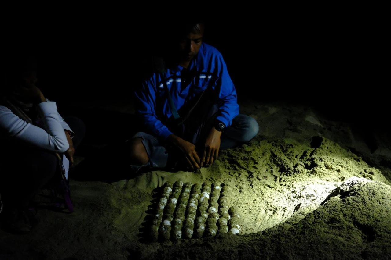 Java Turtle Lodge Meru Betiri Banyuwangi  Zewnętrze zdjęcie