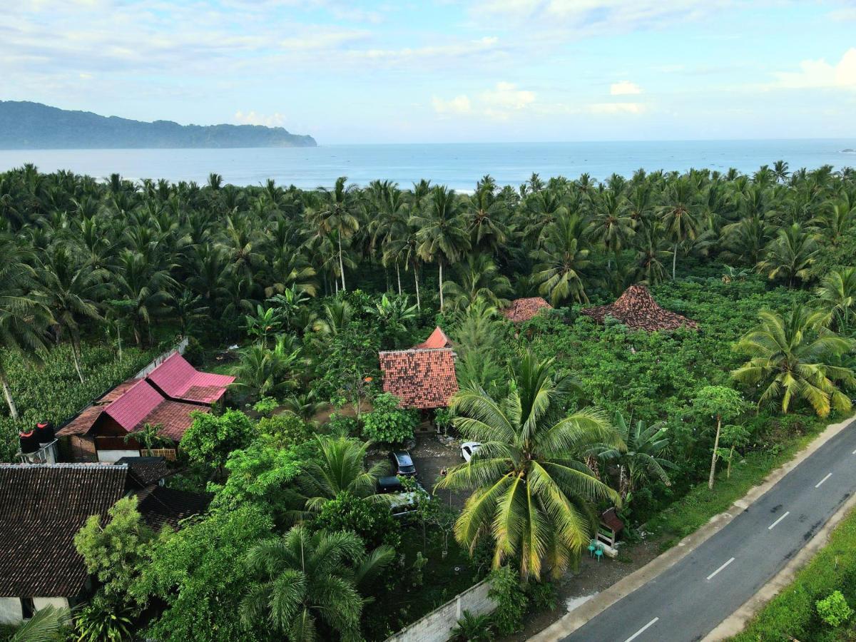 Java Turtle Lodge Meru Betiri Banyuwangi  Zewnętrze zdjęcie