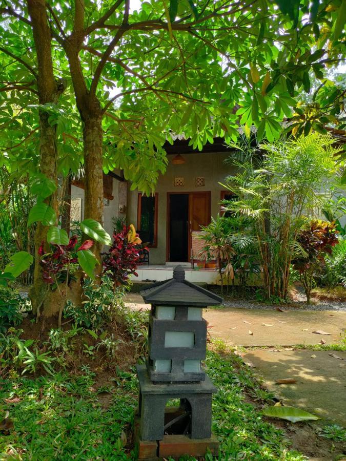 Java Turtle Lodge Meru Betiri Banyuwangi  Zewnętrze zdjęcie