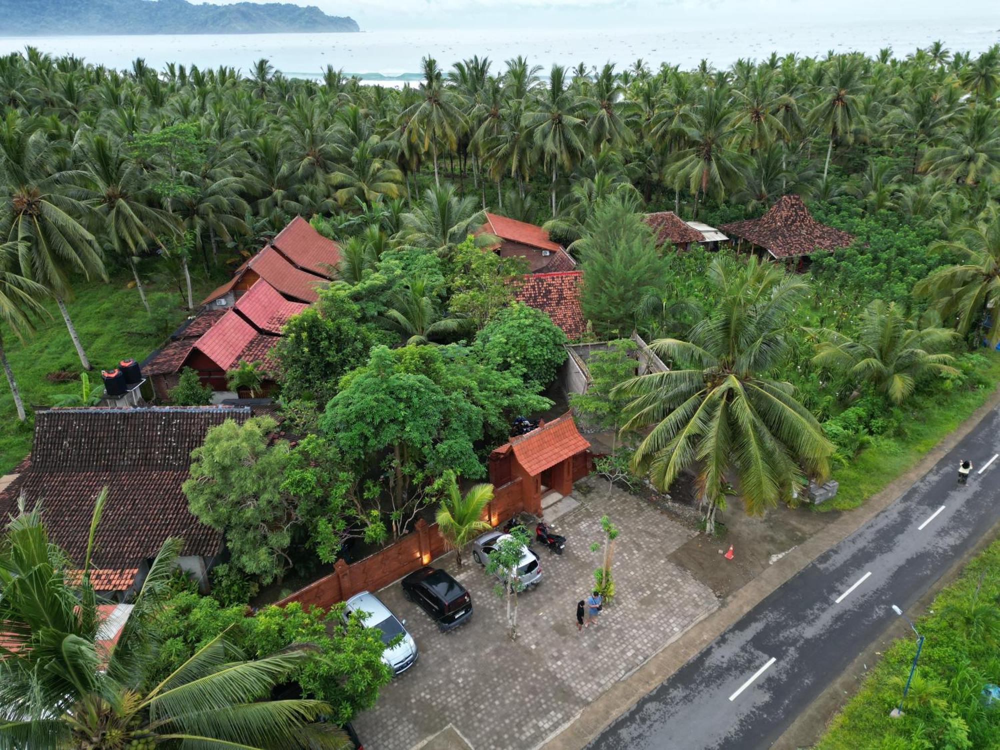 Java Turtle Lodge Meru Betiri Banyuwangi  Zewnętrze zdjęcie
