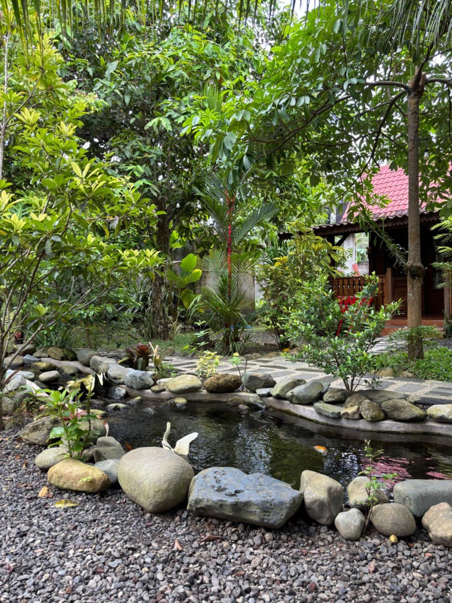 Java Turtle Lodge Meru Betiri Banyuwangi  Zewnętrze zdjęcie