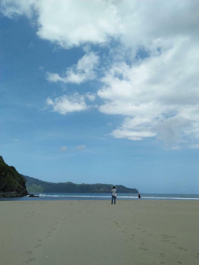Java Turtle Lodge Meru Betiri Banyuwangi  Zewnętrze zdjęcie