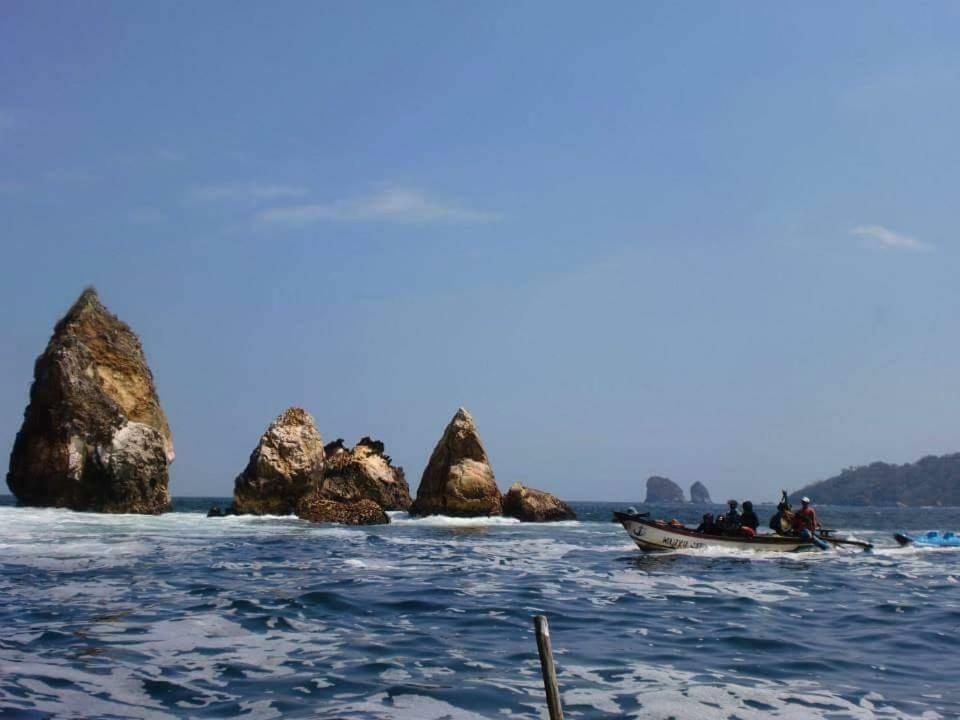 Java Turtle Lodge Meru Betiri Banyuwangi  Zewnętrze zdjęcie