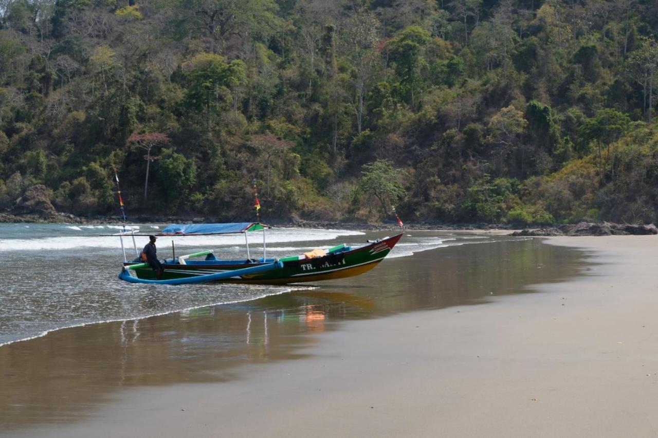 Java Turtle Lodge Meru Betiri Banyuwangi  Zewnętrze zdjęcie