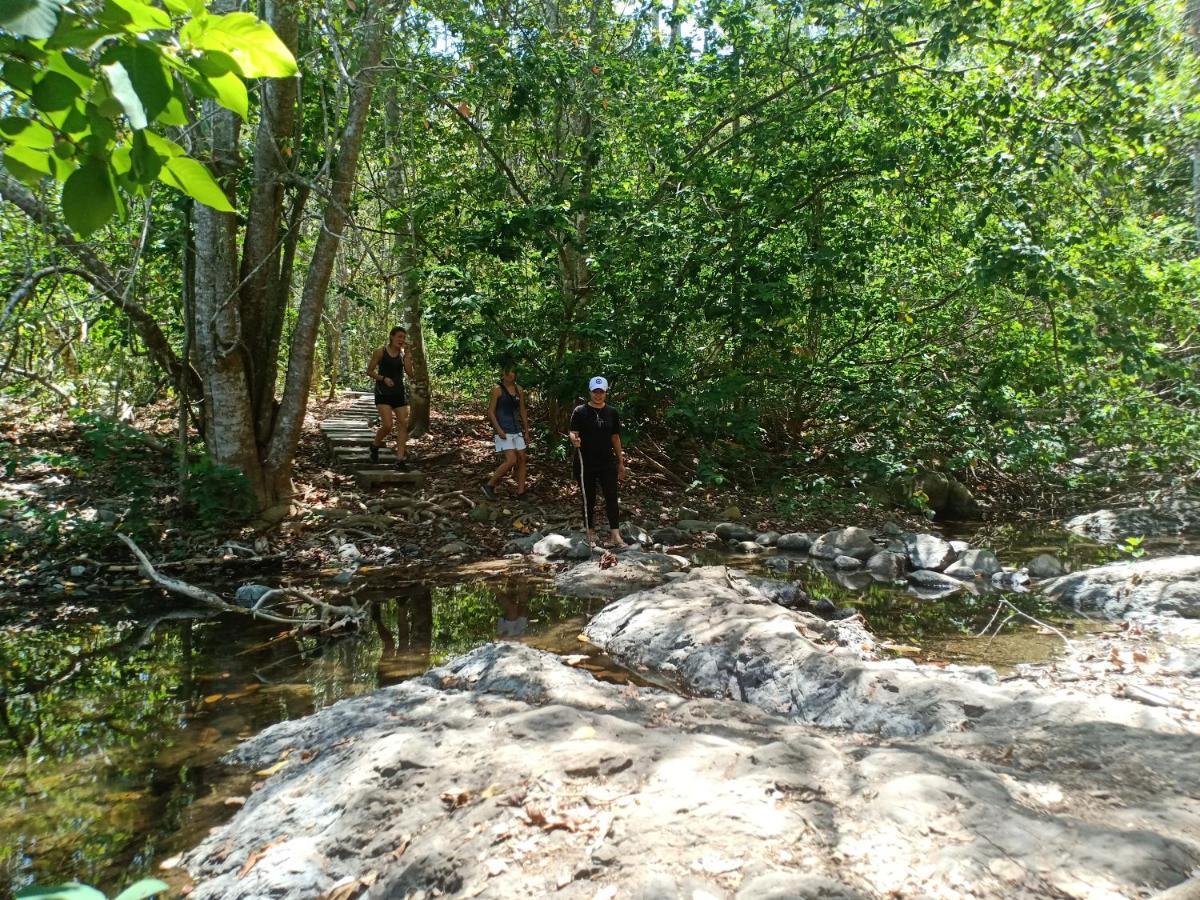 Java Turtle Lodge Meru Betiri Banyuwangi  Zewnętrze zdjęcie
